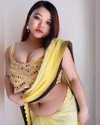 ESCORT SERVICE IN NOAIDA NCR +91-8377949611 PRIVATE AUNTY,INDIPENDENT HOUSE