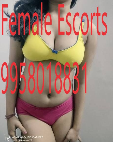 Call girls Chittaranjan Park +91-9958018831